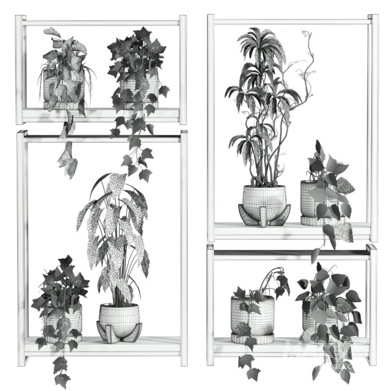 plants set on shelf - Image 5