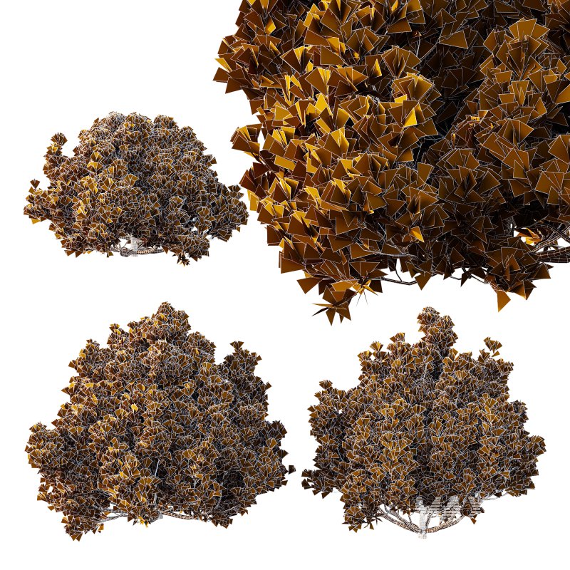 Different bush 01 - Image 5