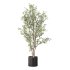Olive Tree Indoor Plant Set.29 - Thumbnail 2