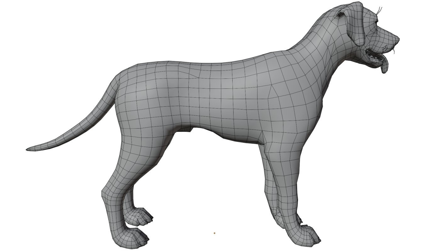 Dalmatian - Image 15