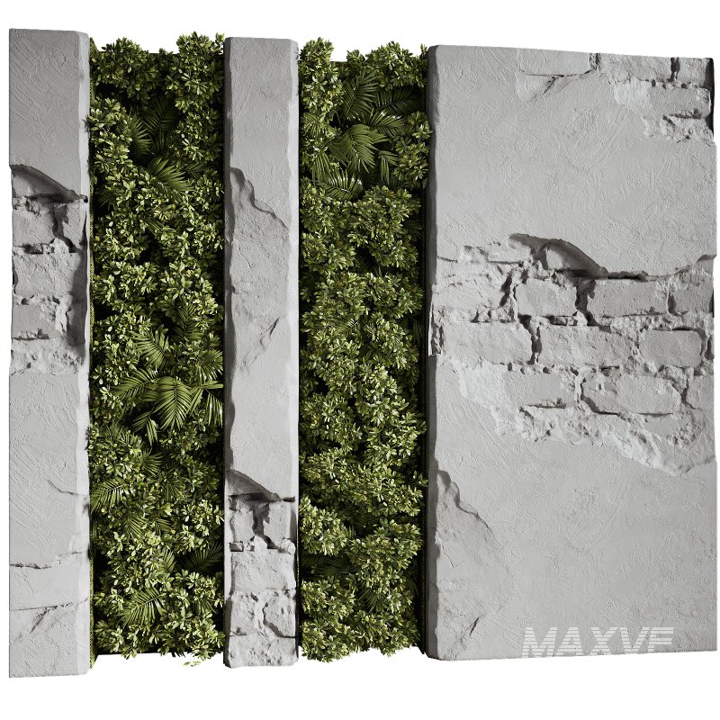 Wall with plant 08 - Image 2