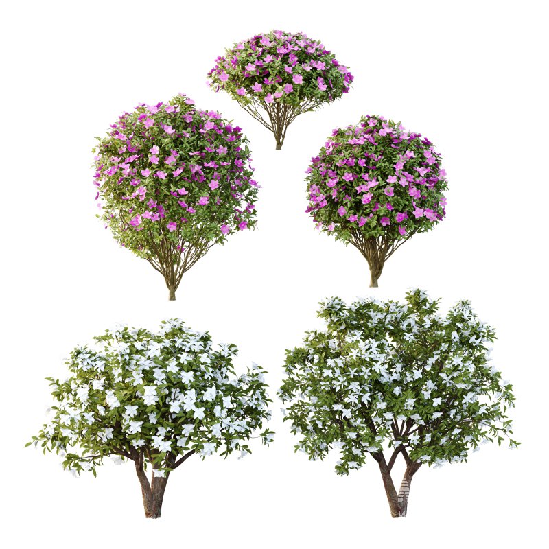 Different bush 04 - Image 2