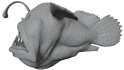 Angler Fish - Thumbnail 11