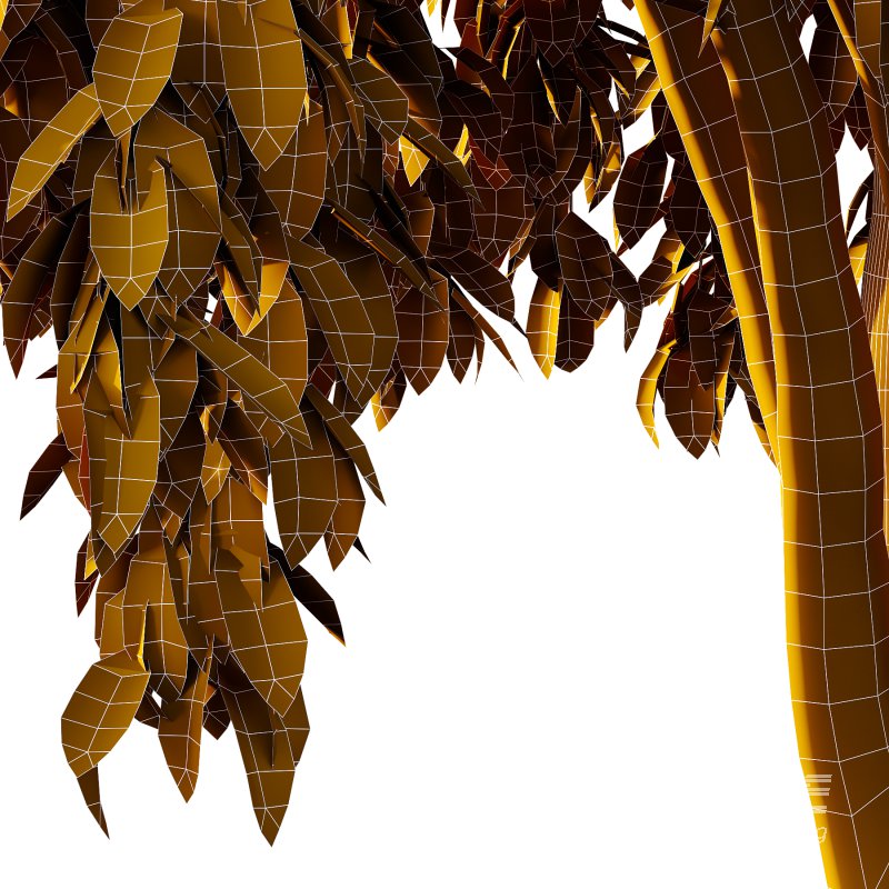 Osmanthus Fragrans Tree 02 - Image 6