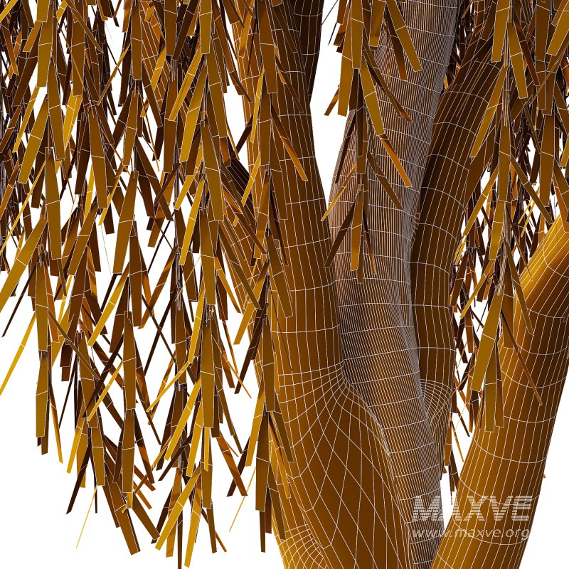 Weeping Willow Tree 04 - Image 5