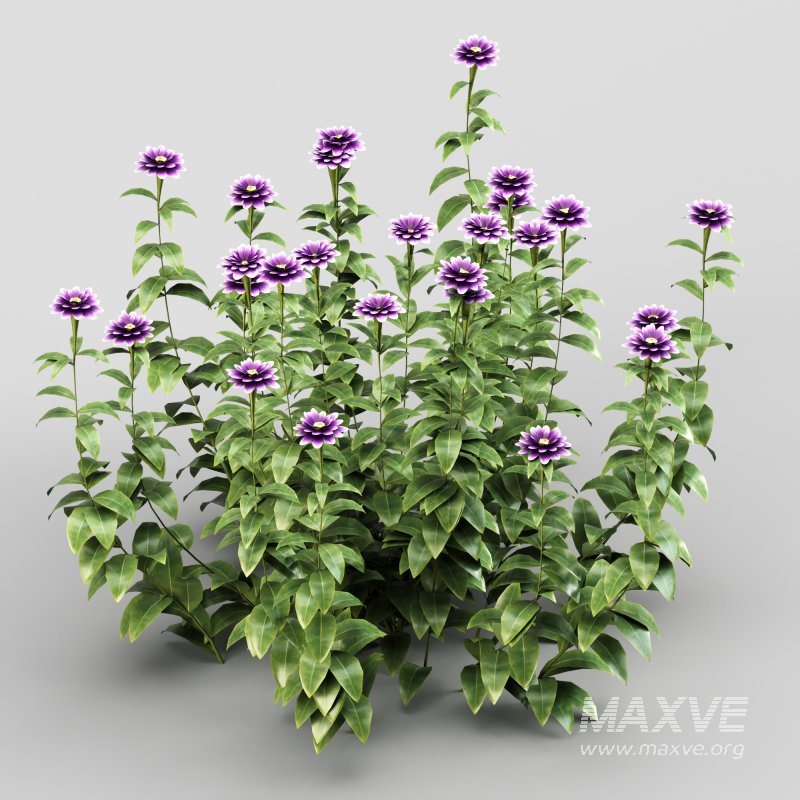 Purple blossom bush - Image 3