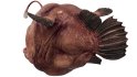 Angler Fish - Thumbnail 5