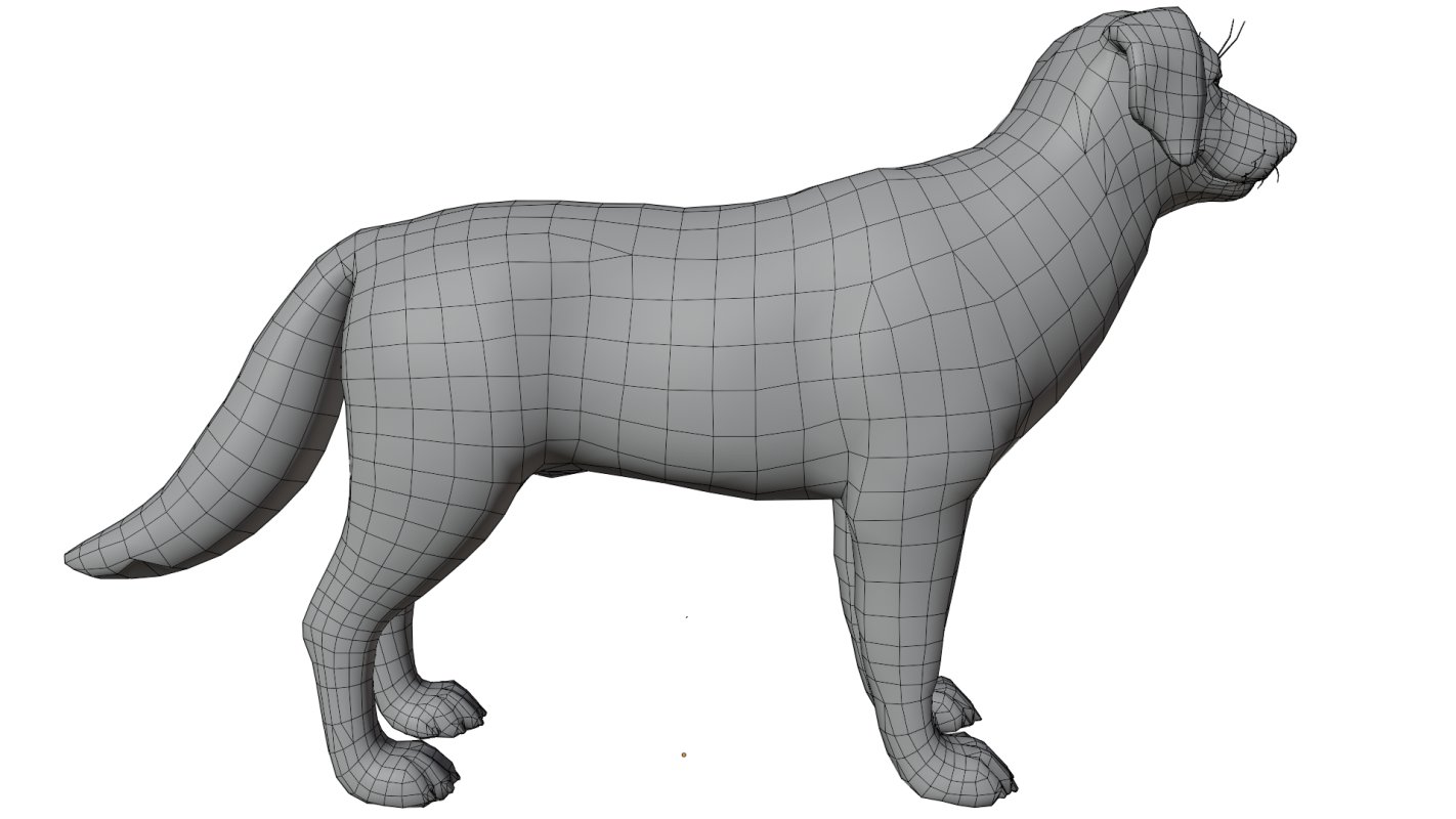 Golden Retriever - Image 15