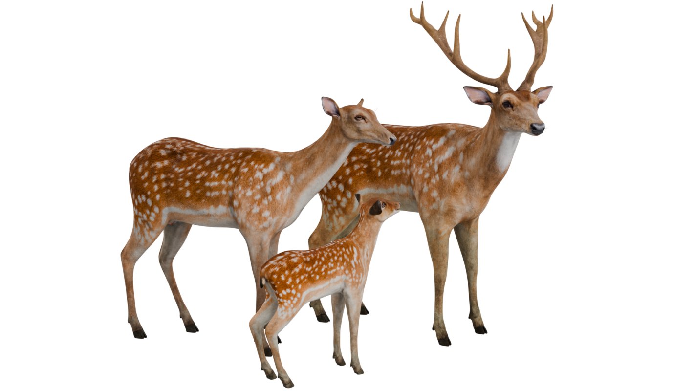Deer Family - Image 1