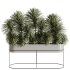 Indoor plants-Plants in Box- set175 - Thumbnail 1