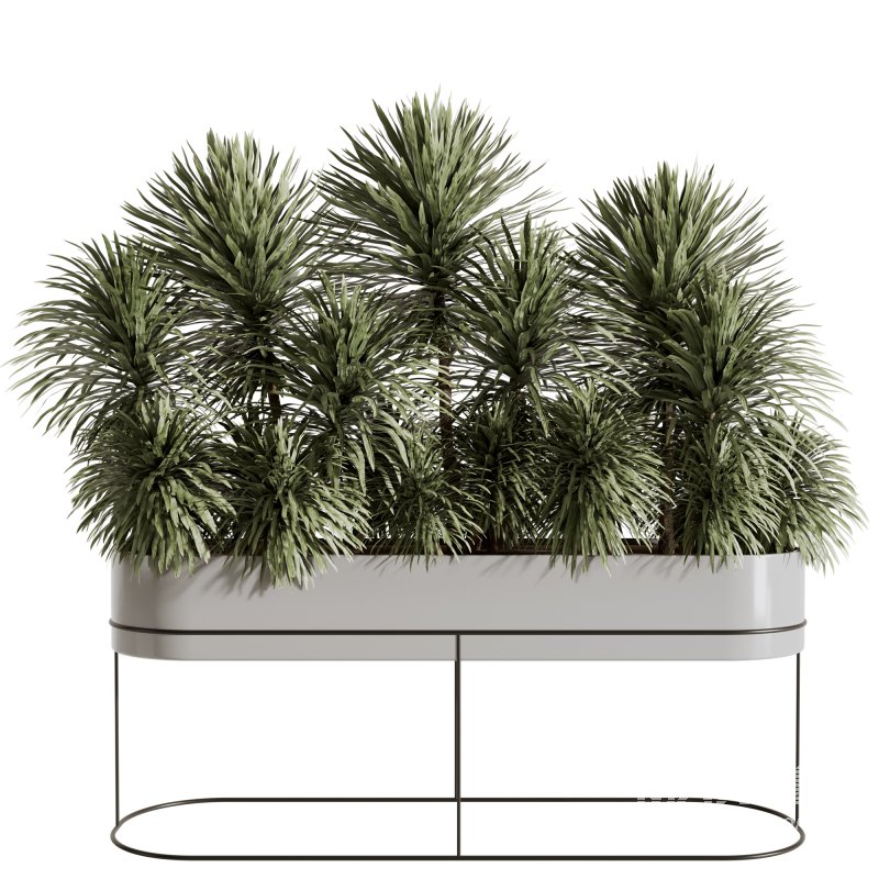 Indoor plants-Plants in Box- set175 - Image 1