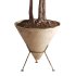 Potted Cone Indoor Plant Philodendron - Thumbnail 3