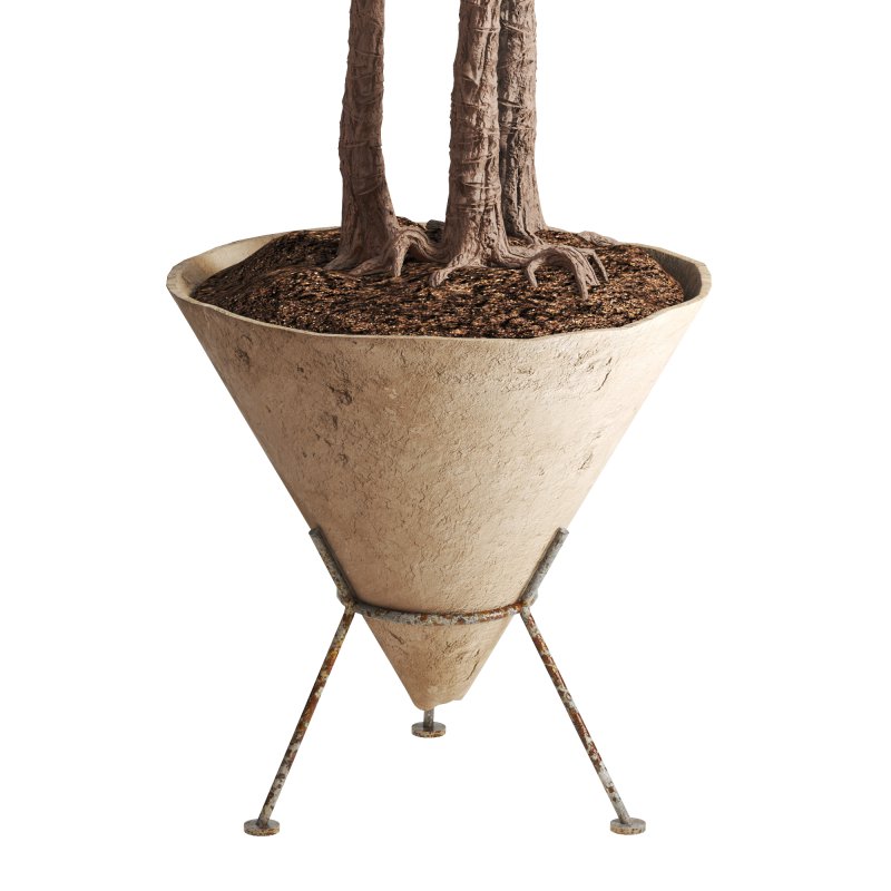 Potted Cone Indoor Plant Philodendron - Image 3