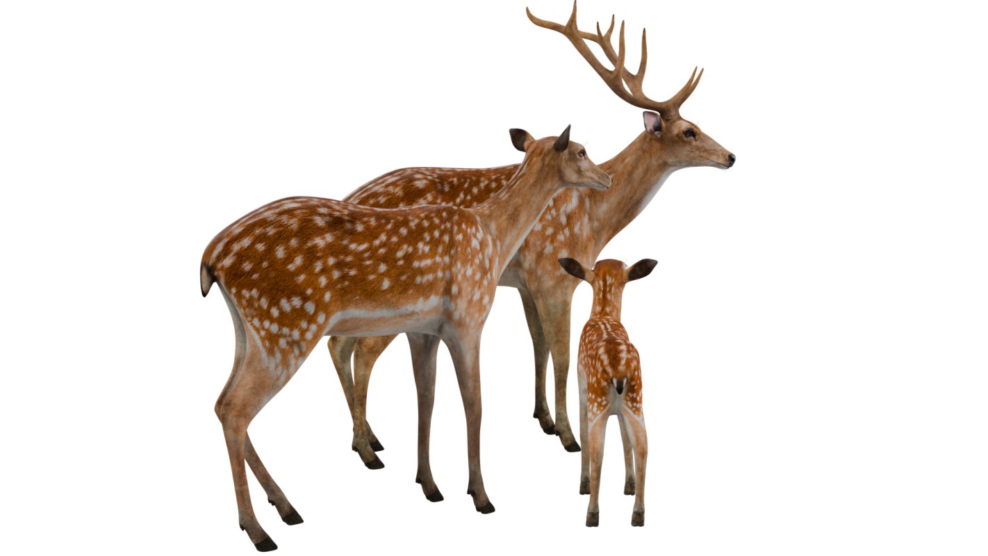 Deer Family - Image 8