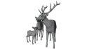 Deer Family - Thumbnail 12