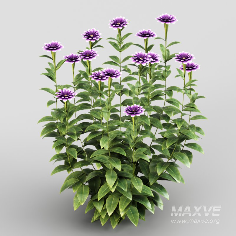 Purple blossom bush - Image 2