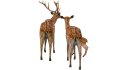 Deer Family - Thumbnail 7