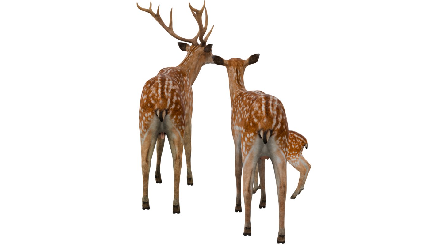 Deer Family - Image 7