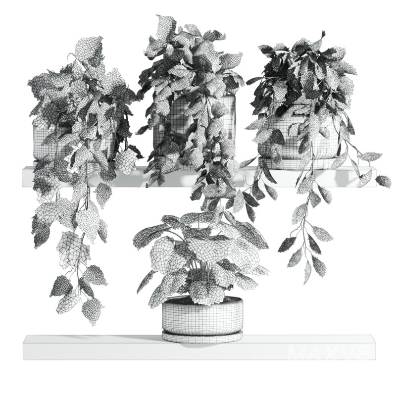 plants set on shelf - Image 3