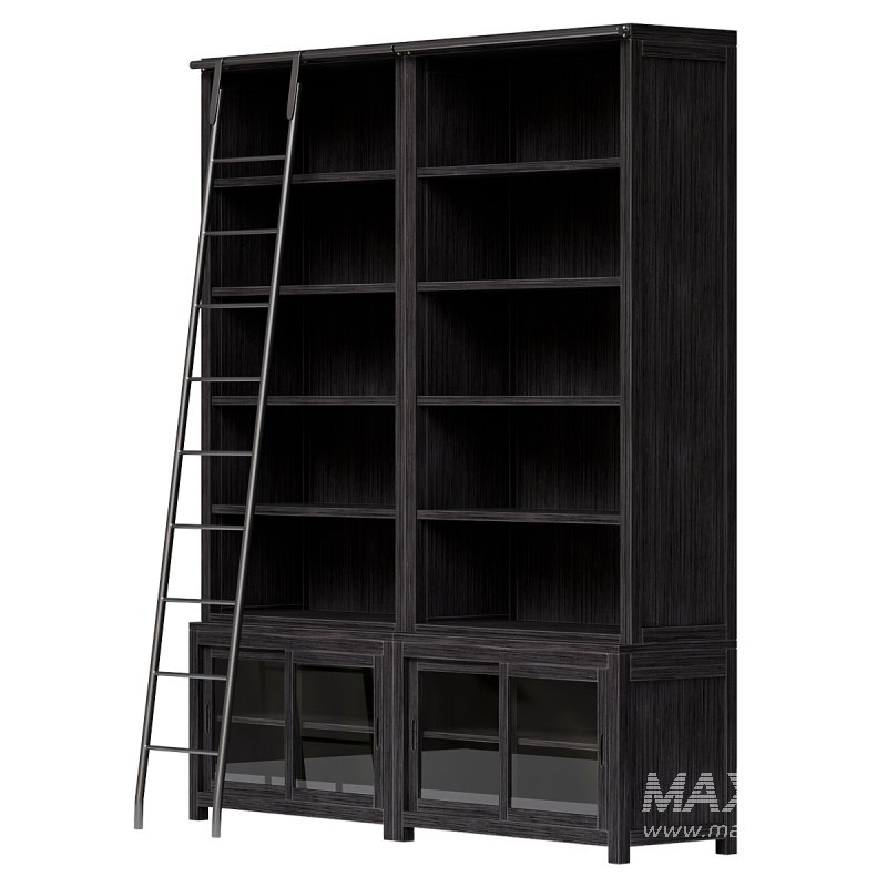 Admont Double Bookcase With Ladder - Image 1