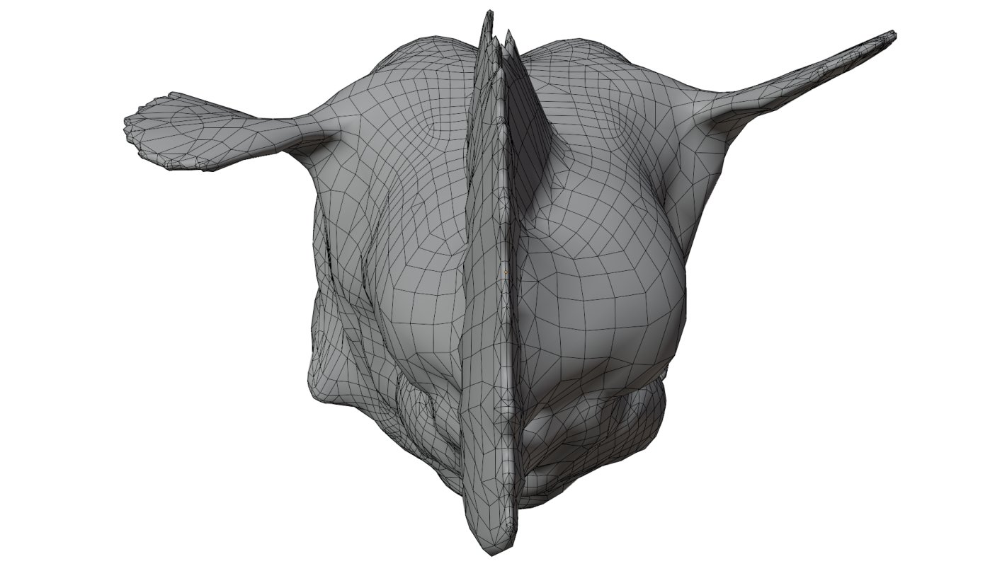 Angler Fish - Image 13