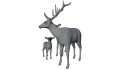Deer Family - Thumbnail 13