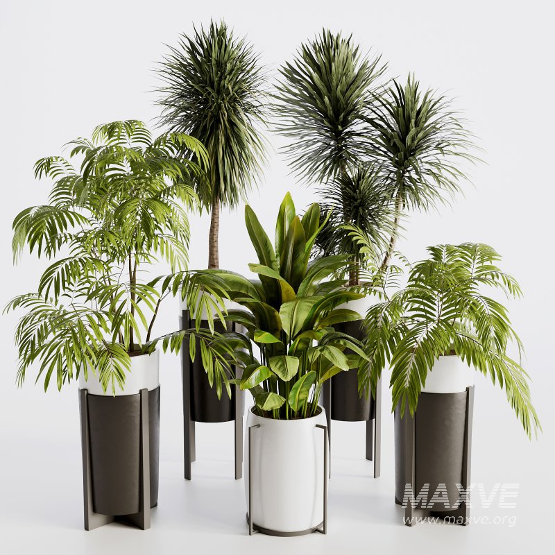 Indoor plants set173 - Image 3