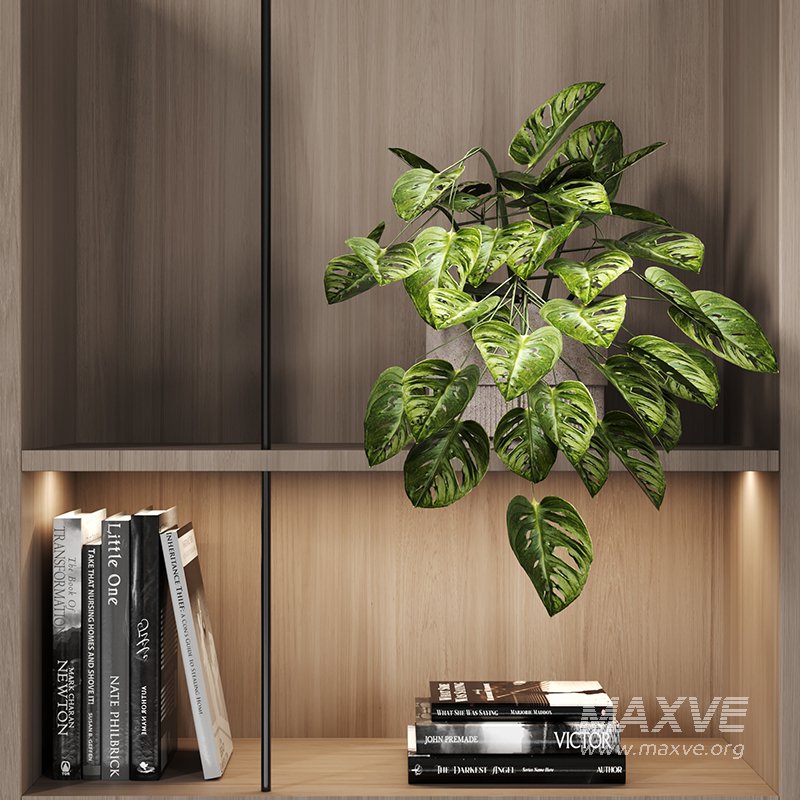 151 book case 151 - Image 2