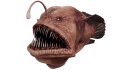 Angler Fish - Thumbnail 1