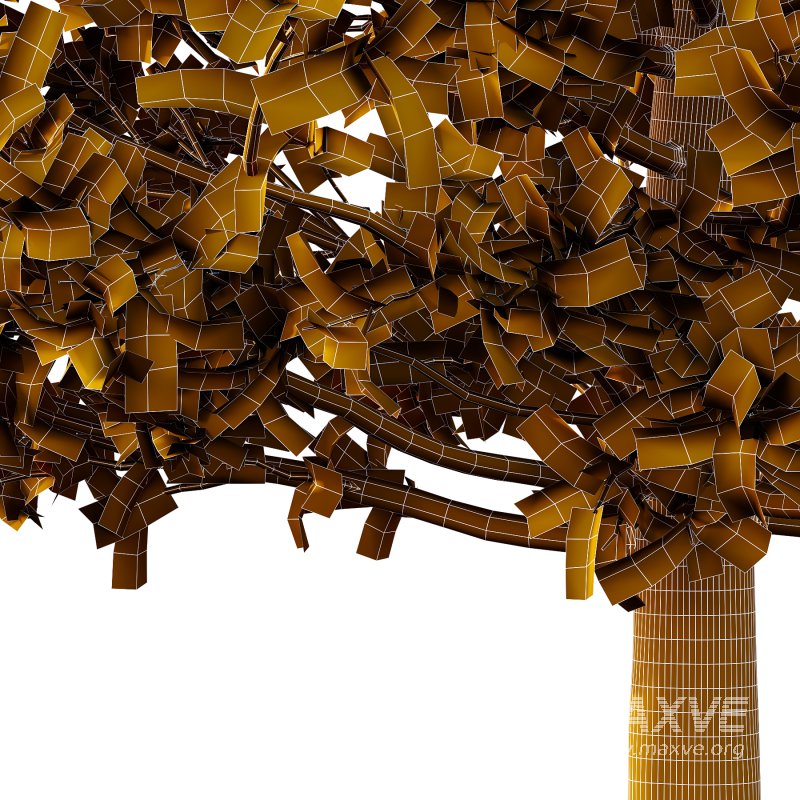 Carpinus Betulus Tree 01 - Image 4