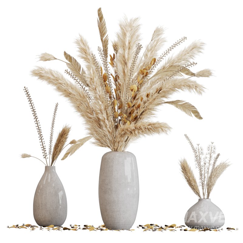 Dried pampas elegance - Image 4