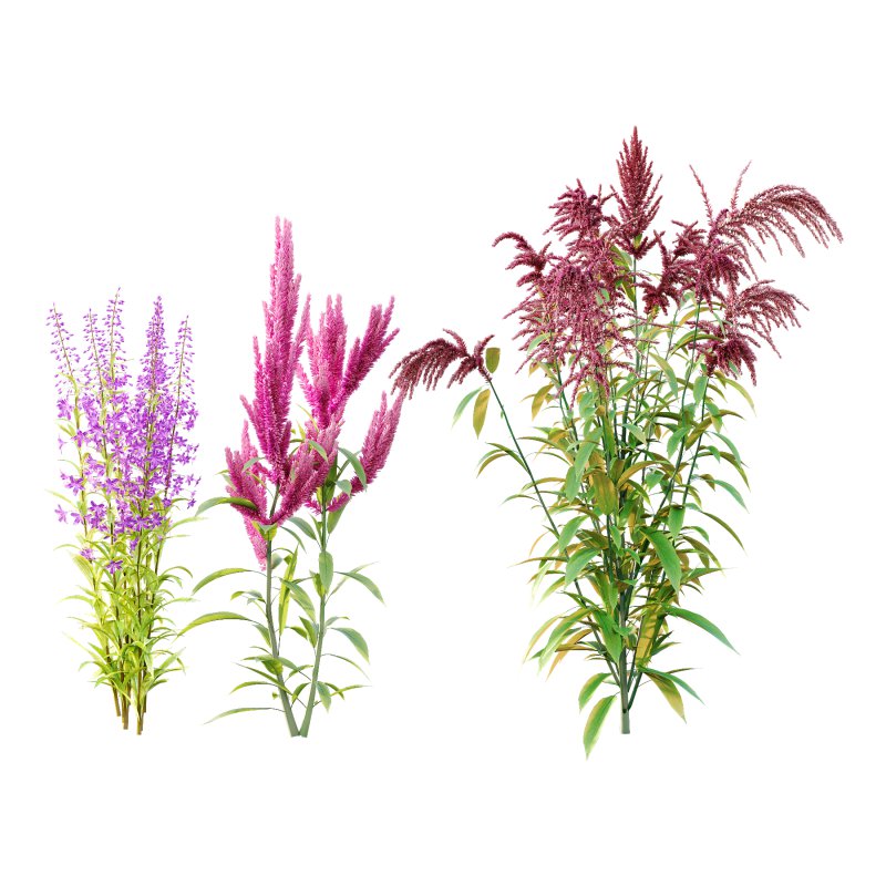 Different Grass 01 - Image 2