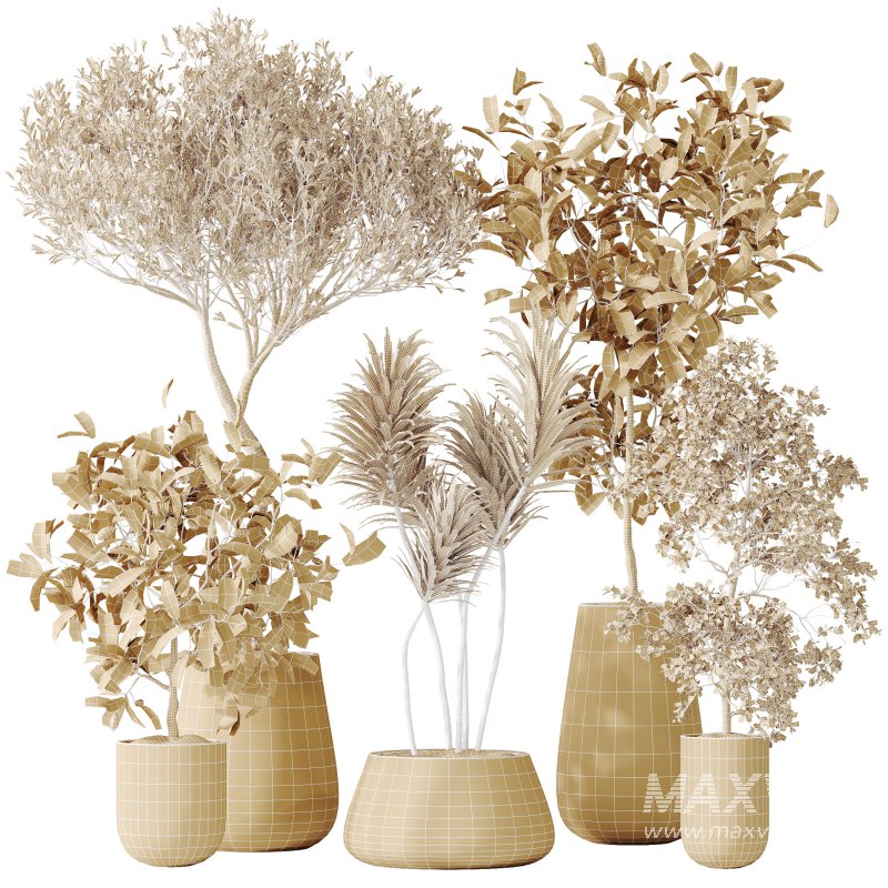 AV Indoor plants set 199 Mission Olive and Yucca Aloifolia Rostrata Palm and Briful Aquatica Grand Artificiel - Image 7