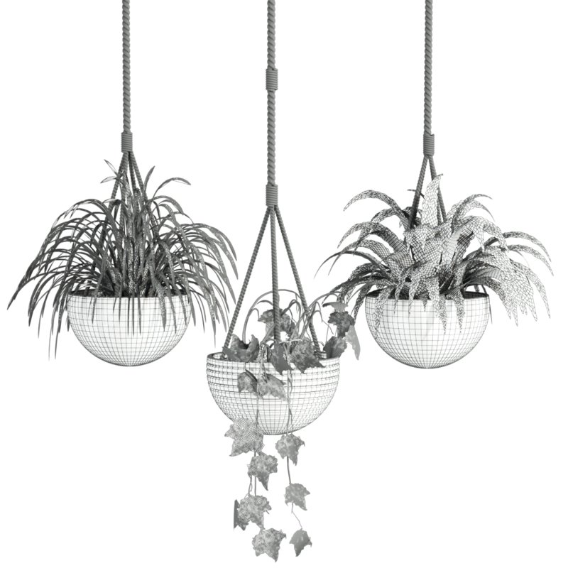 hanging plants - Image 4
