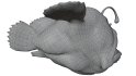 Angler Fish - Thumbnail 17