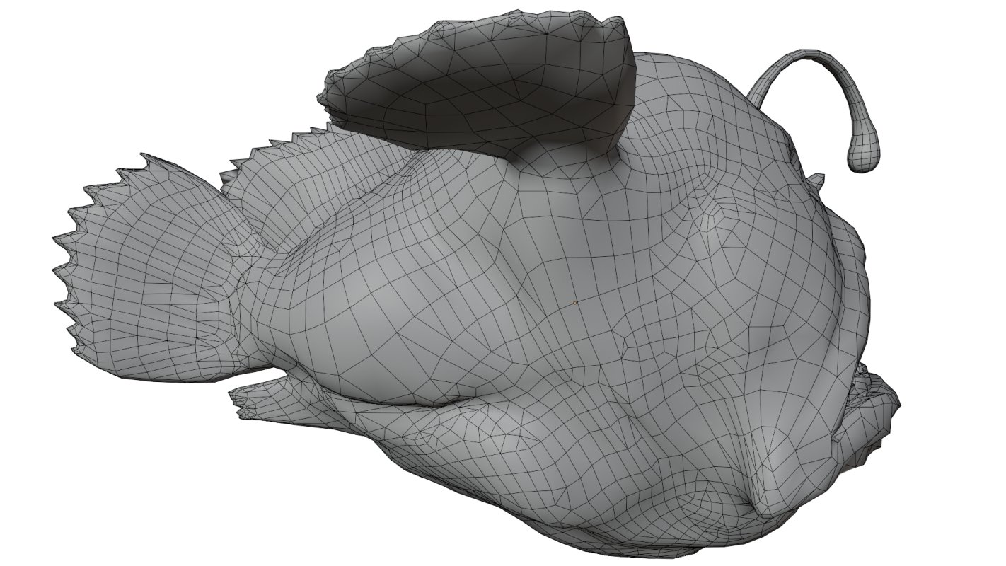 Angler Fish - Image 17