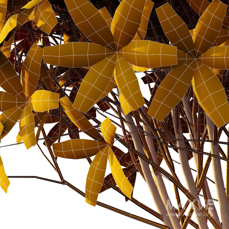 s: Oriental paperbush, mitsumata) is a plant in the family Thymelaeaceae. - Image 6