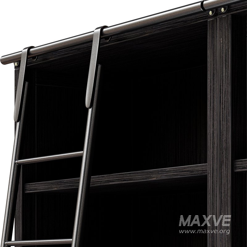 Admont Double Bookcase With Ladder - Image 3