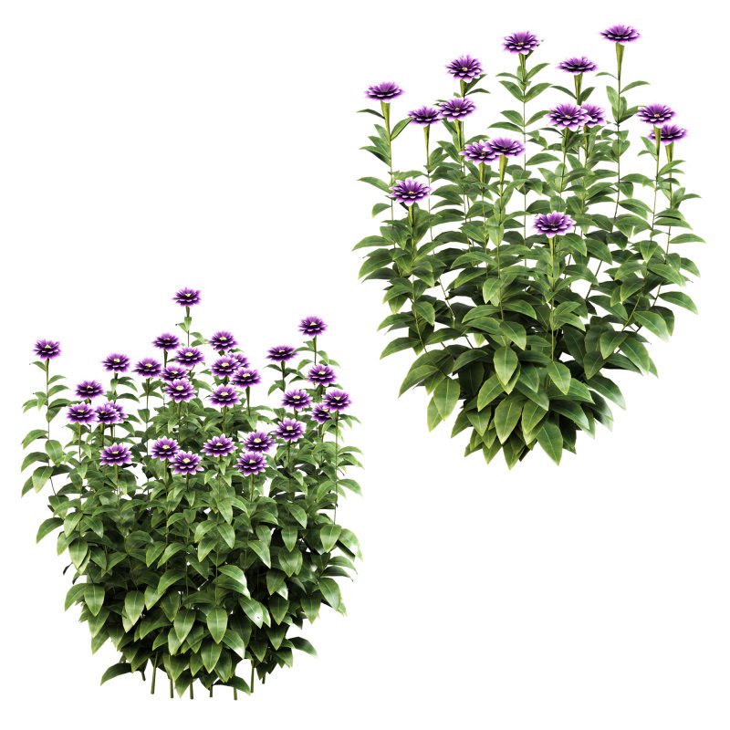 Purple blossom bush - Image 7