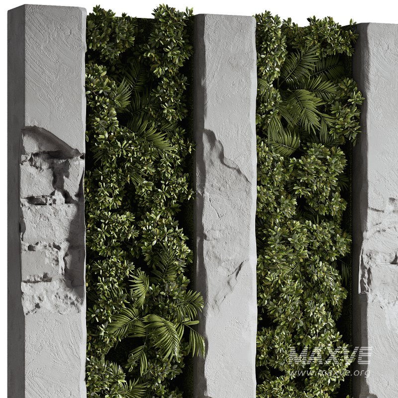 Wall with plant 08 - Image 3