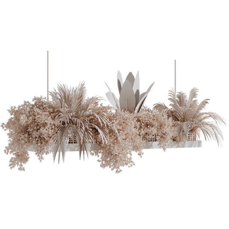 Indoorplants-Hanging plants set-93 - Image 3