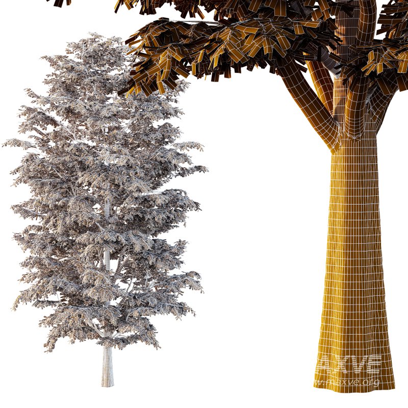 fraxinus excelsior tree 002 - Image 5