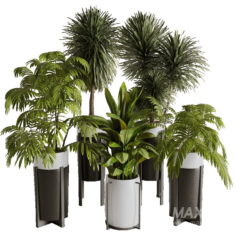 Indoor plants set173 - Image 5