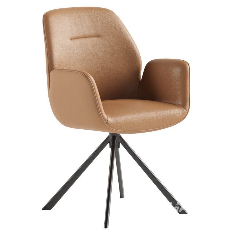 Aura dining chair with armrests - Image 2