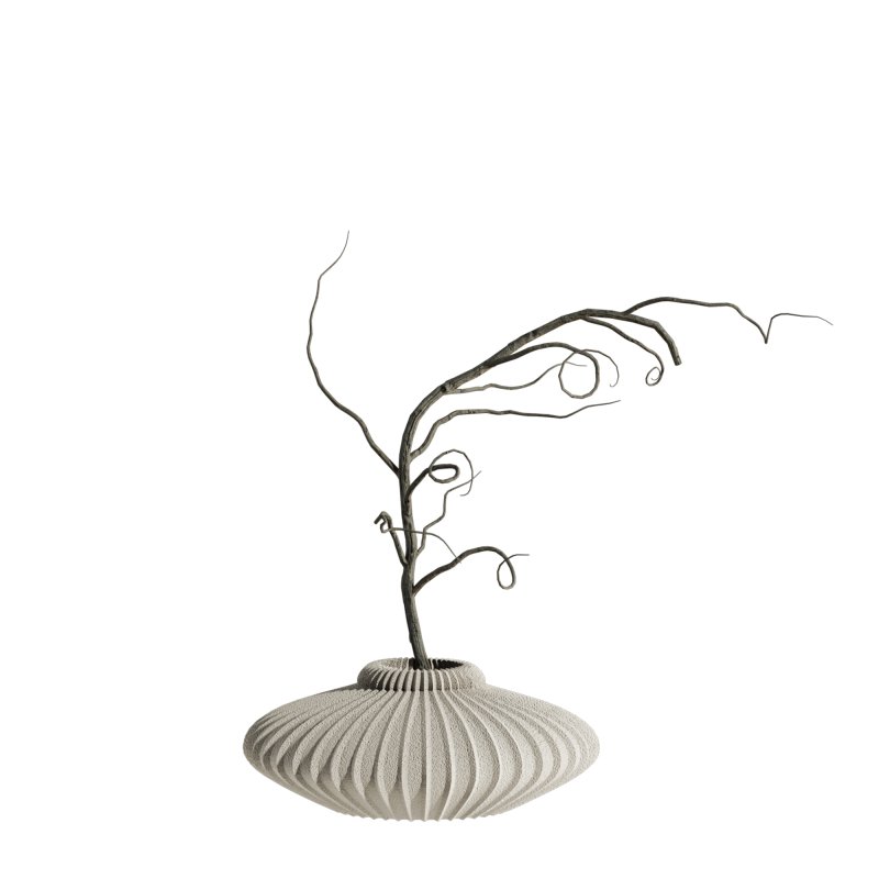 dry bouquet set - Image 4