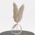 Indoor Bouquet Pampas Bunny tail Wheat - Thumbnail 3