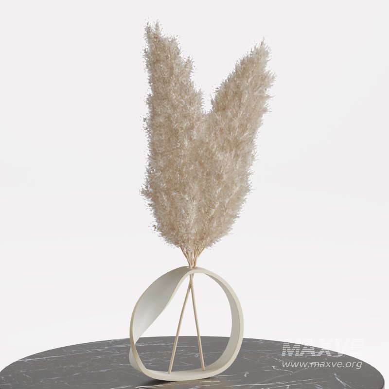 Indoor Bouquet Pampas Bunny tail Wheat - Image 3