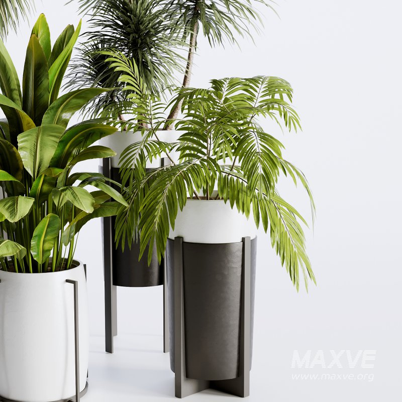 Indoor plants set173 - Image 2