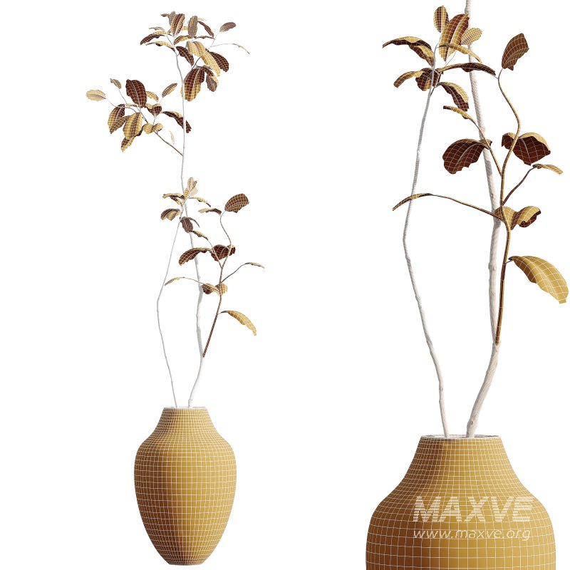 AV HousePlants Japandi Decorative Minimalism Ficus Dracaena Marginata11 - Image 3