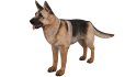 German Shepherd - Thumbnail 3